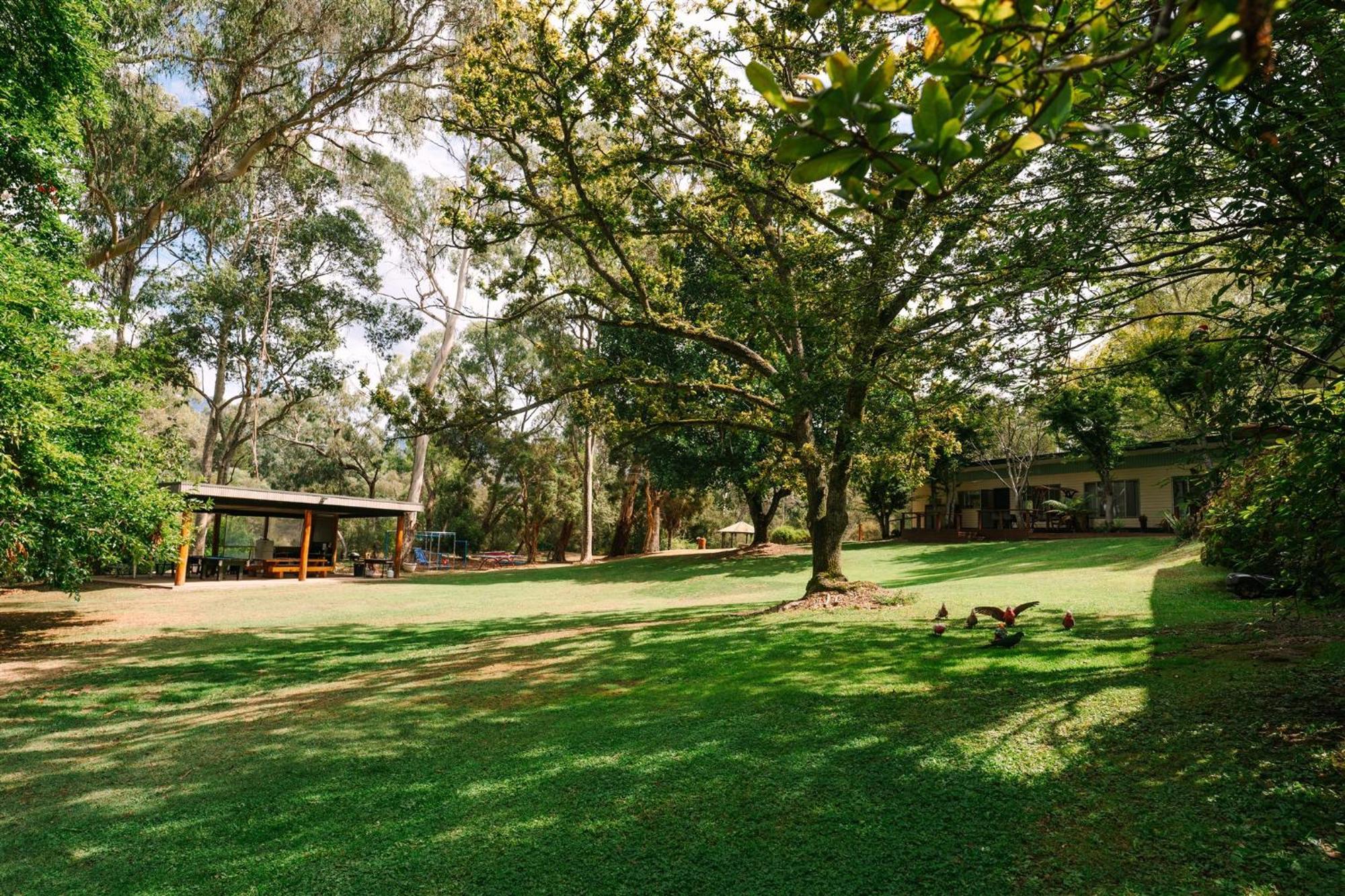 Alpine Riverside Cottages Porepunkah Exterior foto